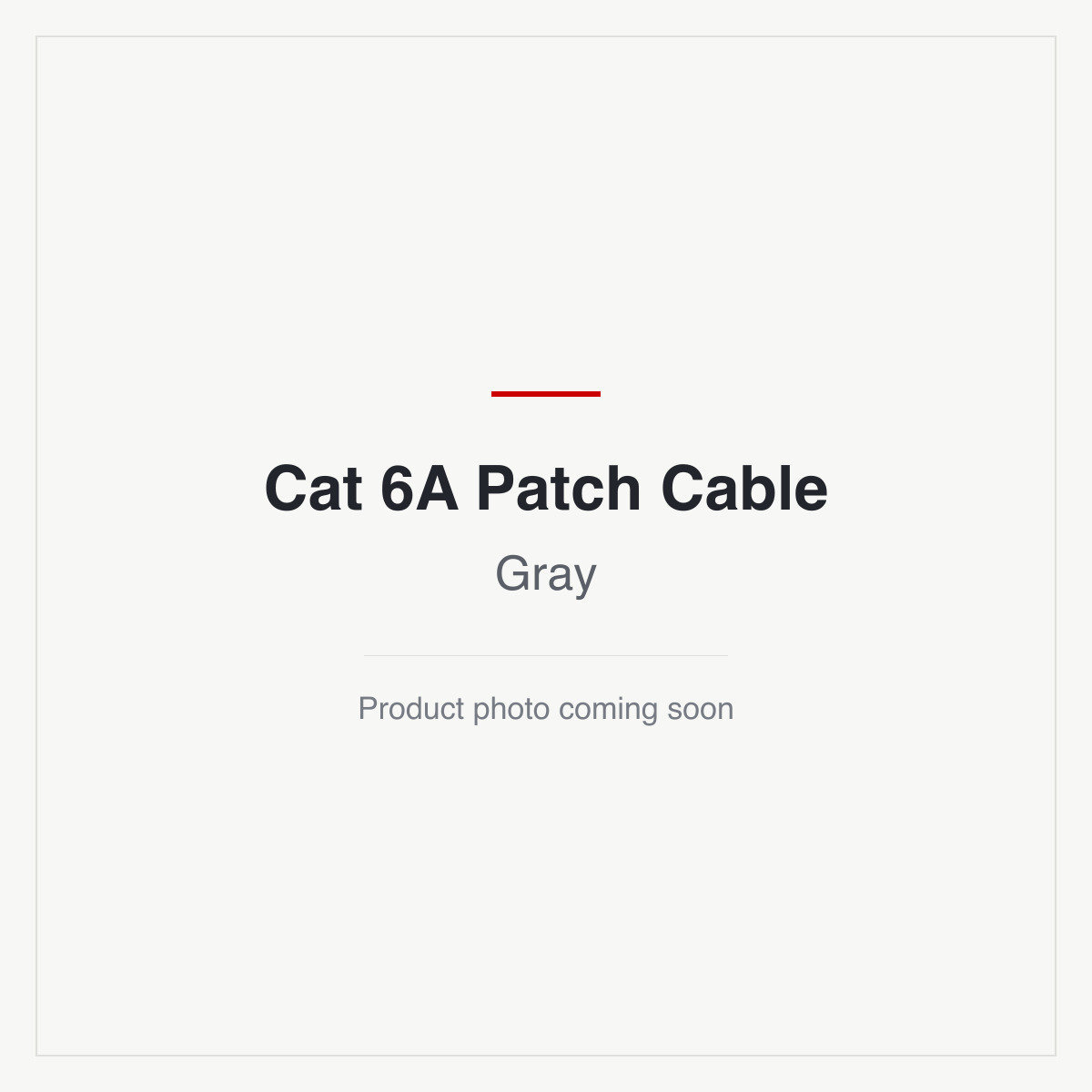 Cat 6A Patch Cable - Gray